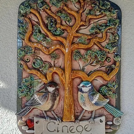 Cinege