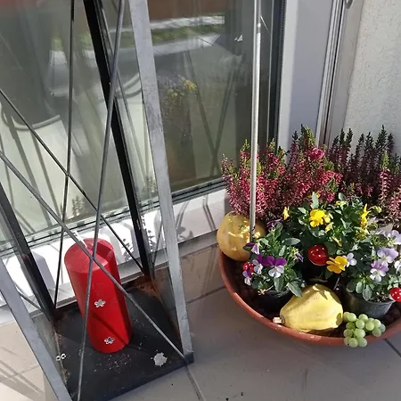 Cinege Apartment Felsopahok