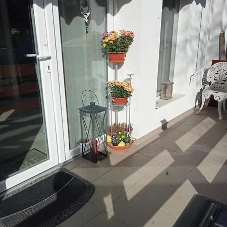 Apartment Cinege Felsopahok